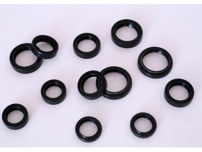 Oil Seal for Front Shock Absorber of Motorcycle